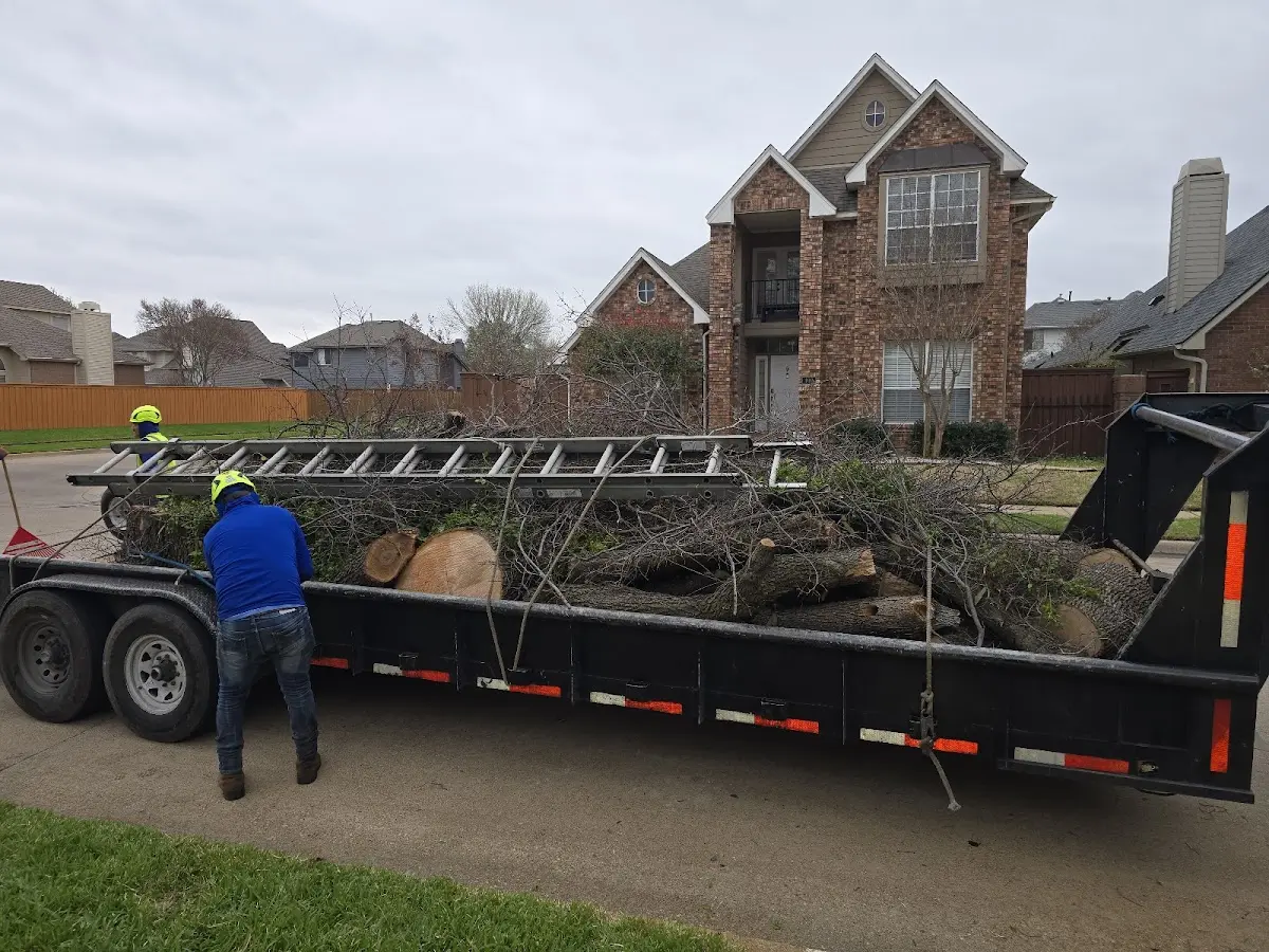 Expert Tree Fertilization with proper safety equipment in Cockeysville